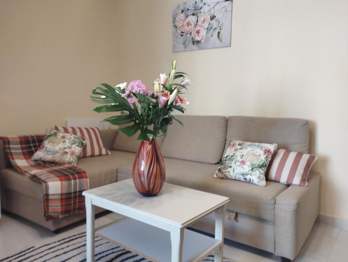 Spacious Apartment La Mata Pool&Beach ตอร์เรเวียคา ภายนอก รูปภาพ